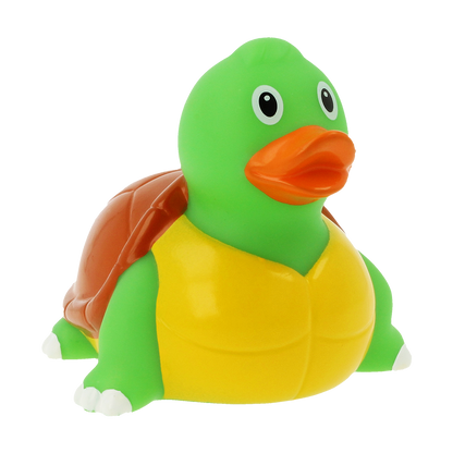 Duck turtle