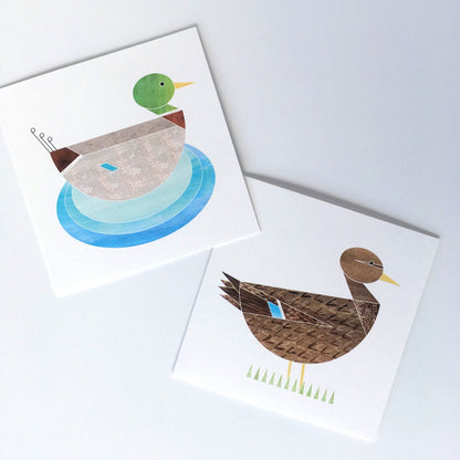 Duck greeting card Mr COLVERT