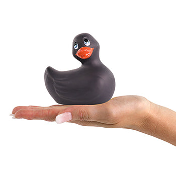 Classic black duck