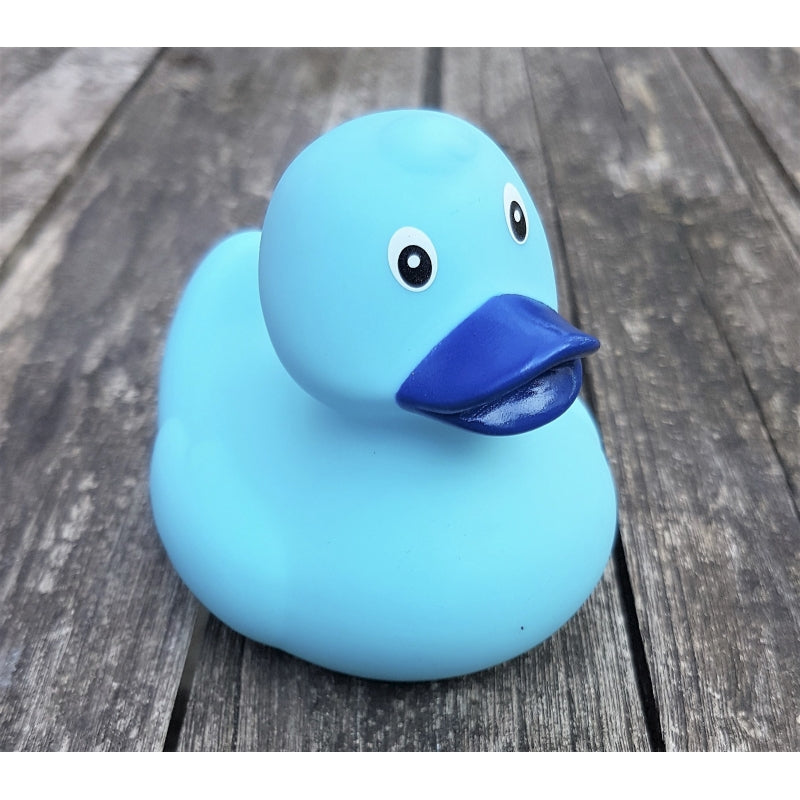 Original blue duck