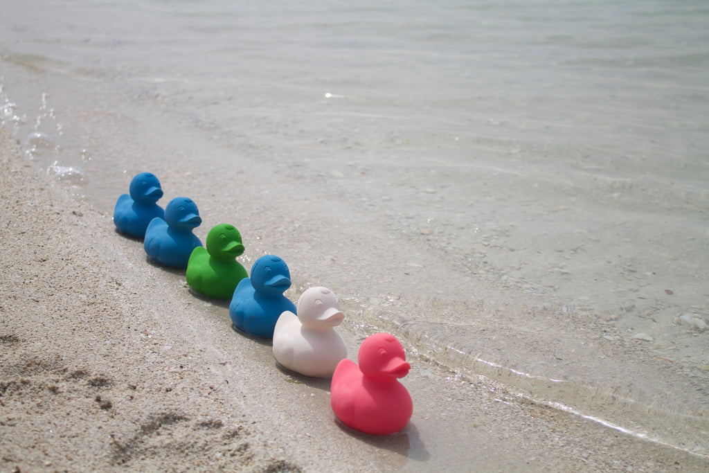 canard monochrome vert oli carol