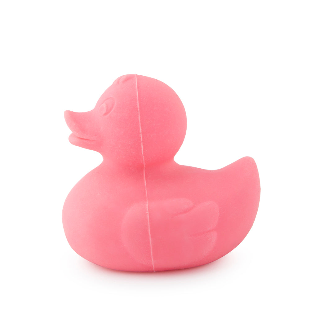 canard-monochrome-rose-oli-carol