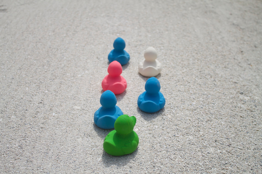 canard-monochrome-rose-oli-carol