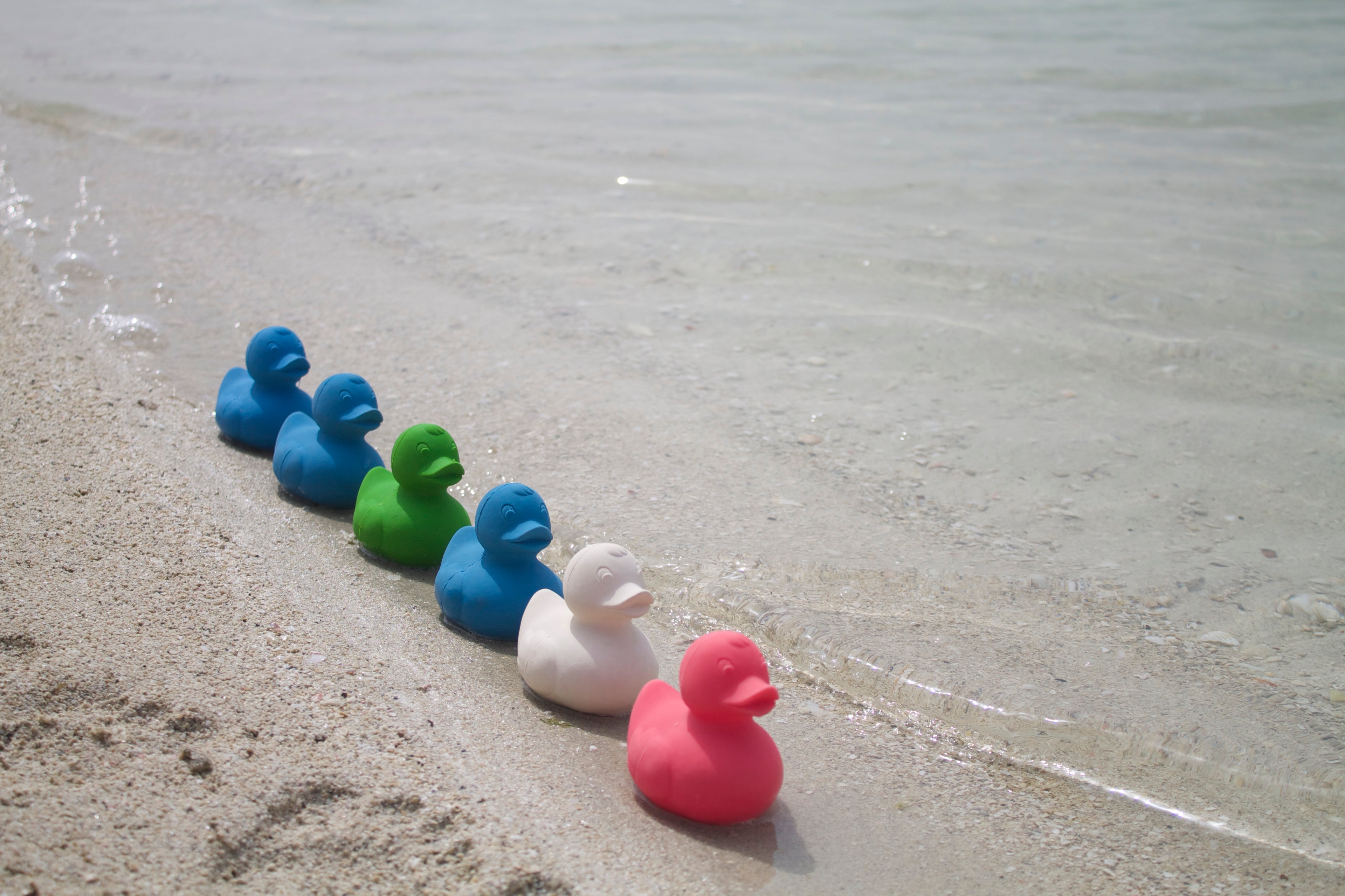 canard-monochrome-rose-oli-carol