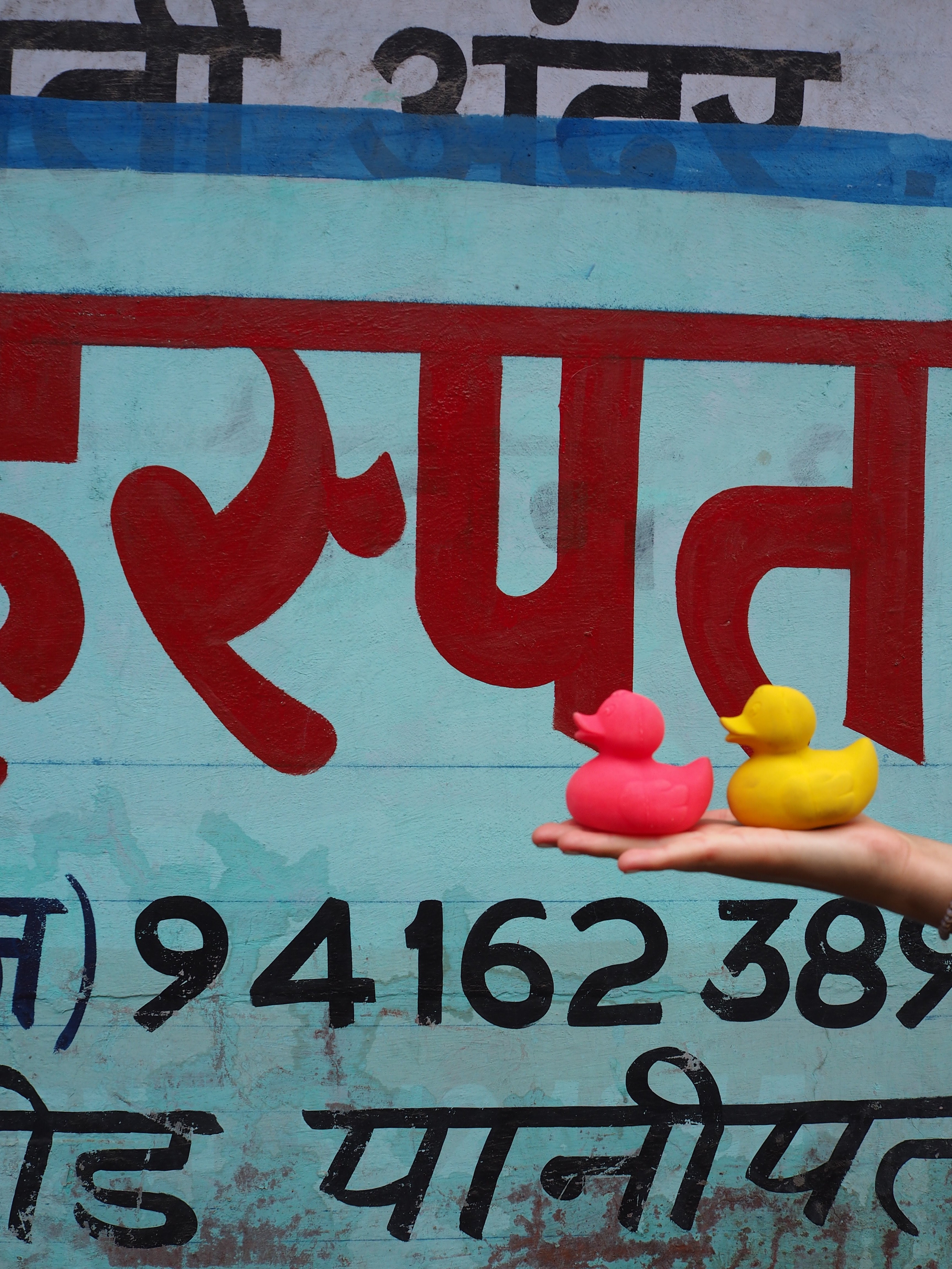 canard-monochrome-rose-oli-carol