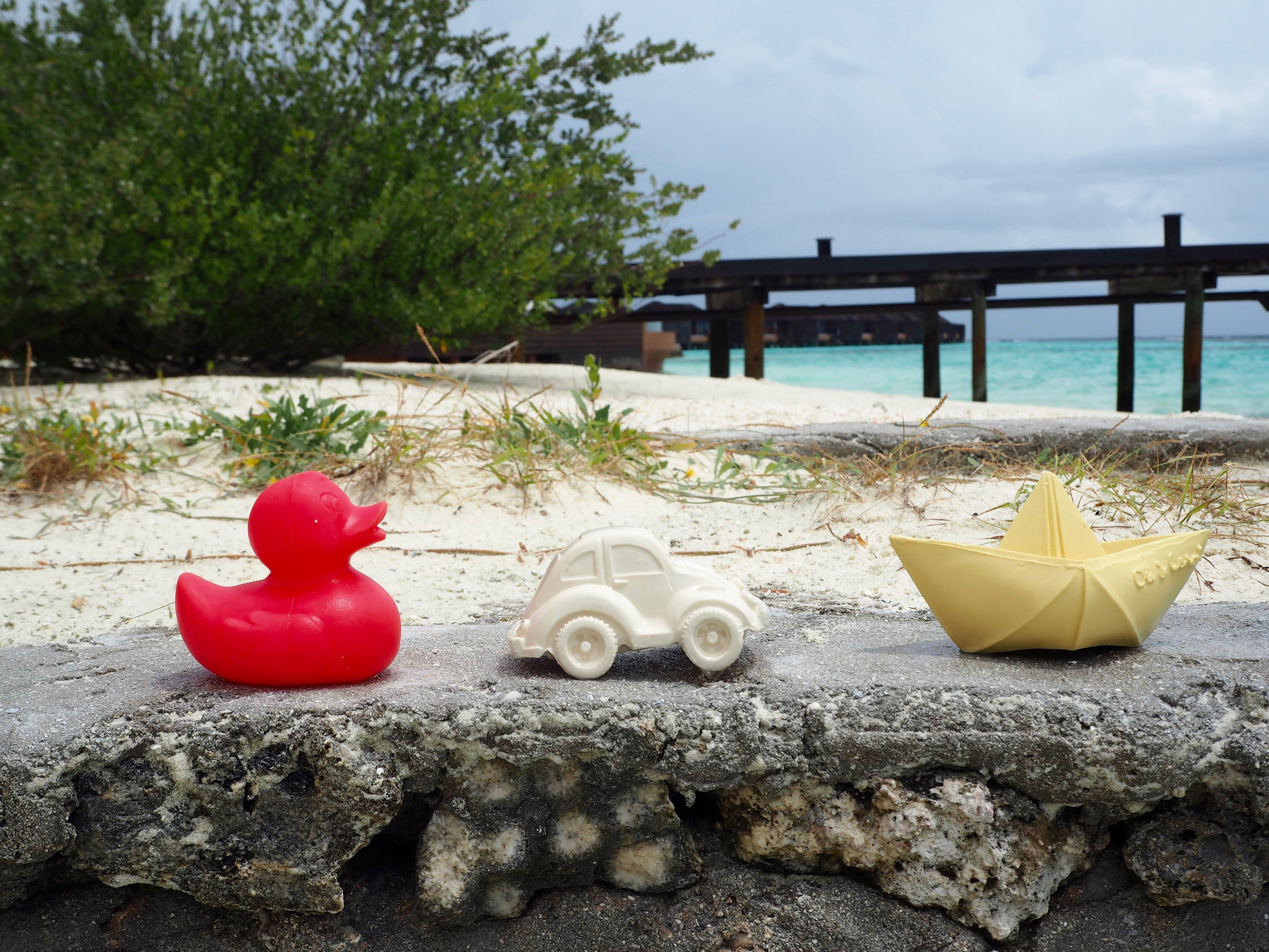 canard-monochrome-rose-oli-carol