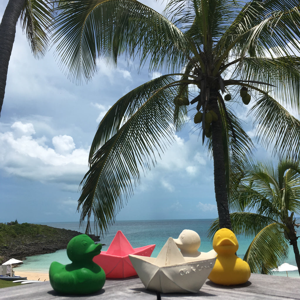 canard-monochrome-blanc-oli-carol