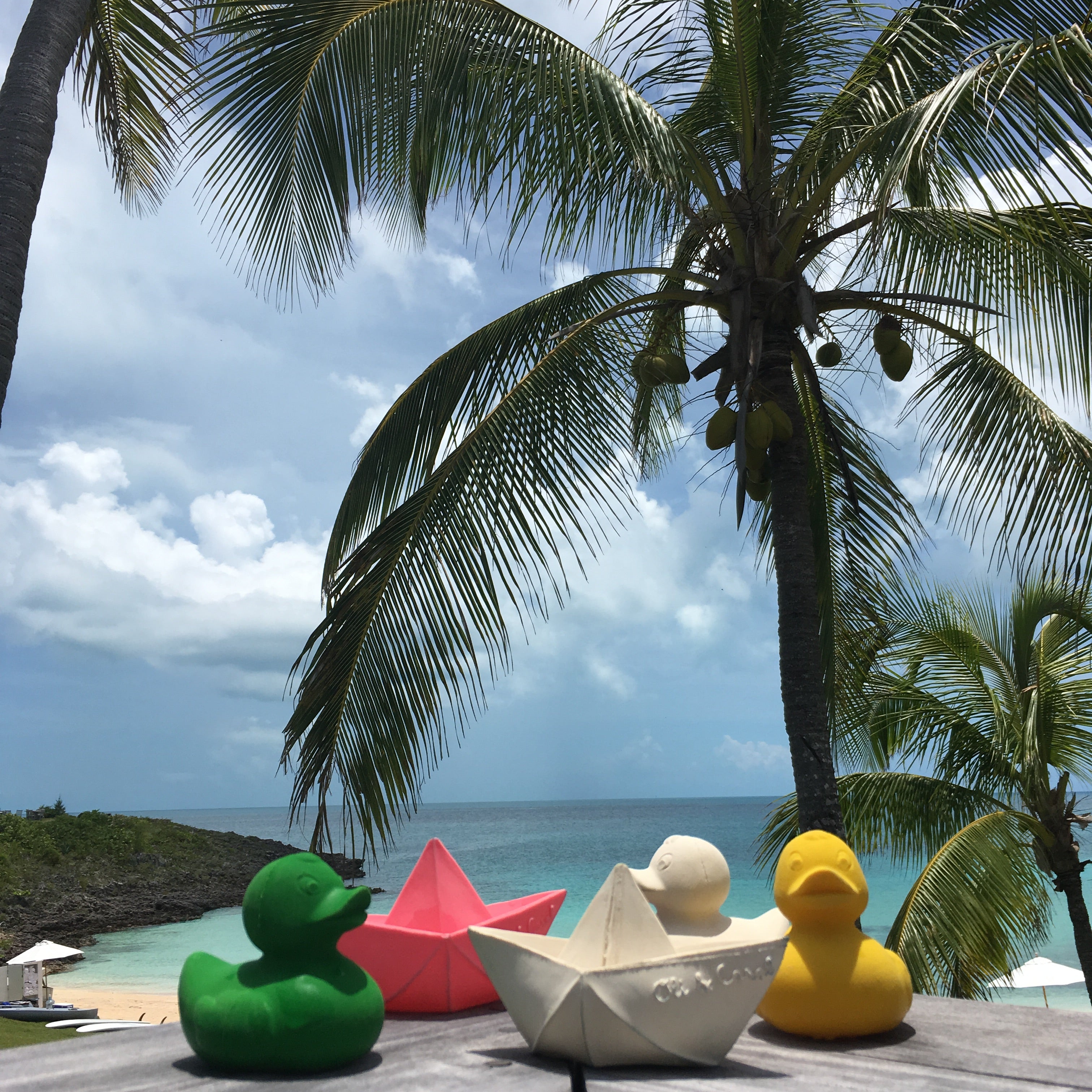 canard-monochrome-blanc-oli-carol