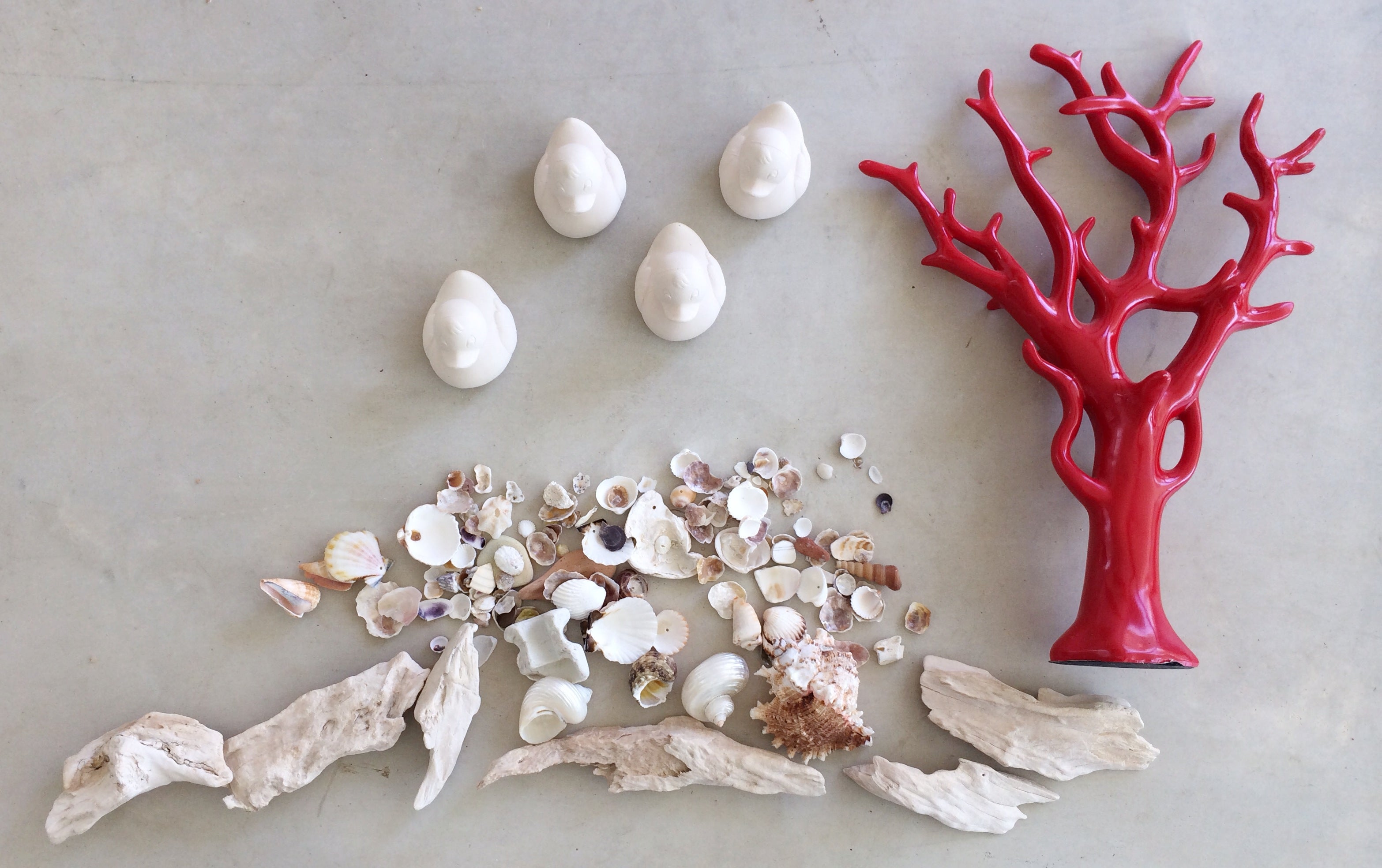 canard-monochrome-blanc-oli-carol