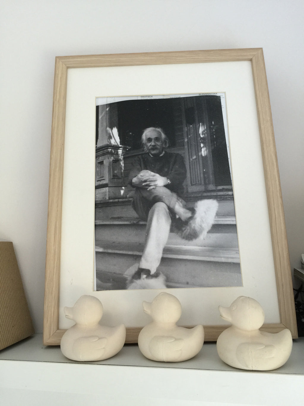 canard-monochrome-blanc-oli-carol