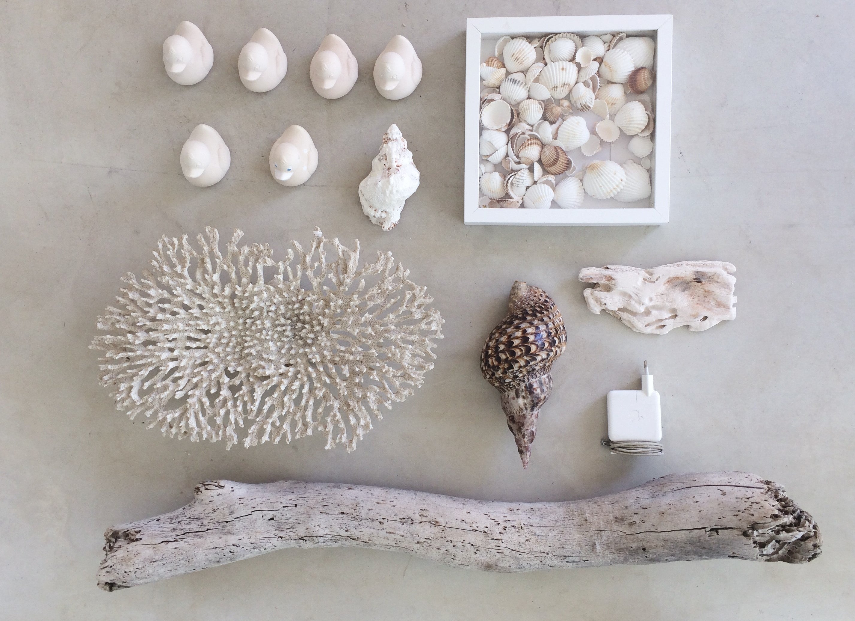 canard-monochrome-blanc-oli-carol