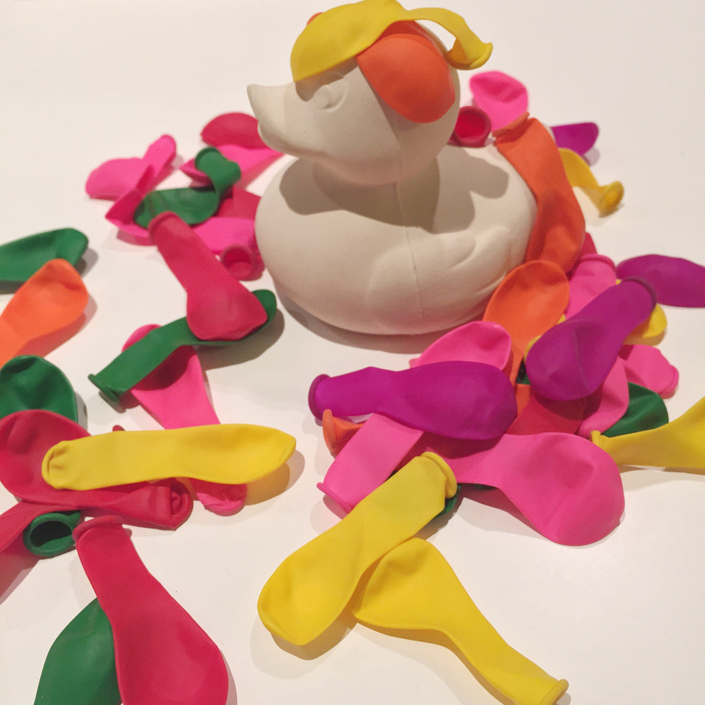 canard-monochrome-blanc-oli-carol