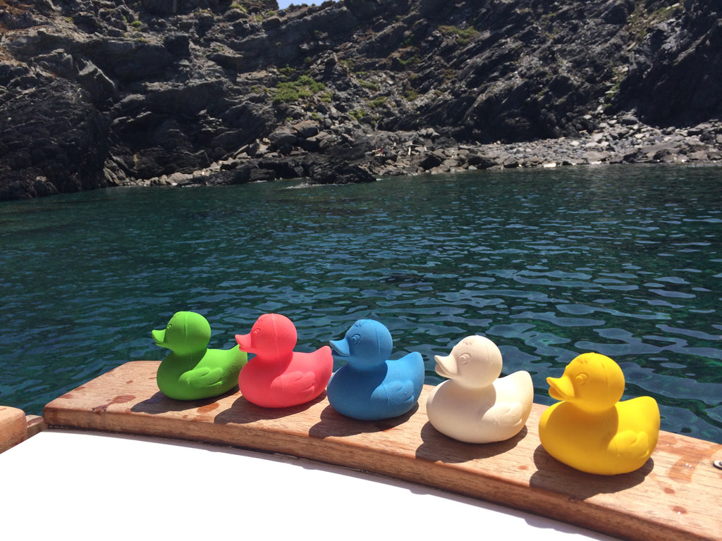 canard-monochrome-jaune-oli-carol