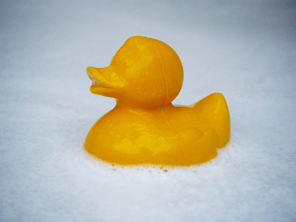 canard-monochrome-jaune-oli-carol