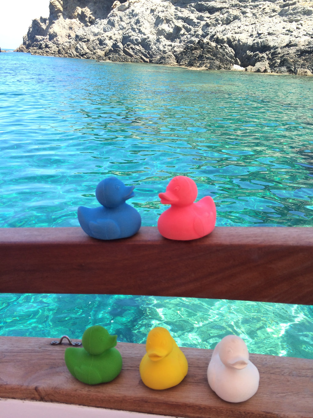 canard-monochrome-jaune-oli-carol