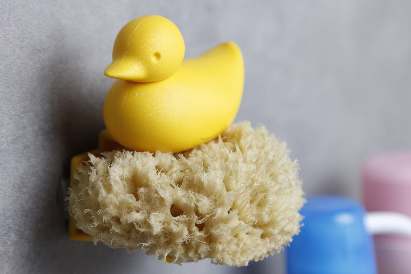 Duck sponge door