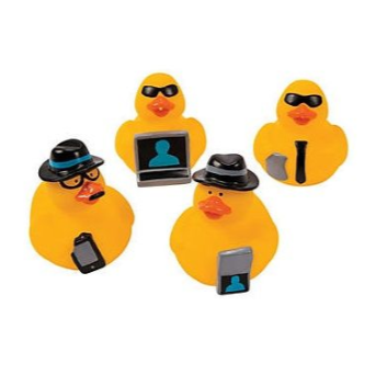 Mini spy ducks